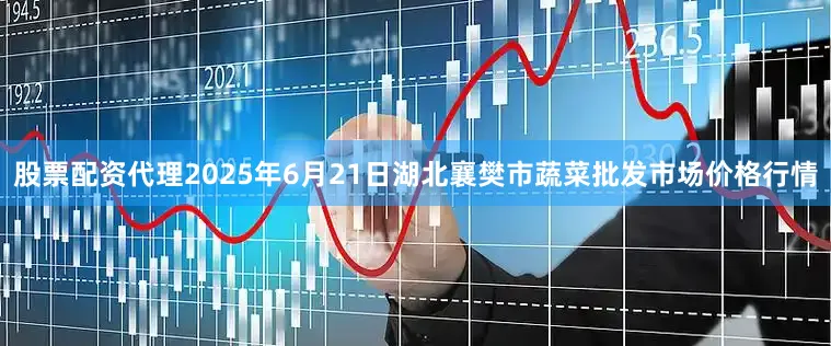 股票配资代理2025年6月21日湖北襄樊市蔬菜批发市场价格行情