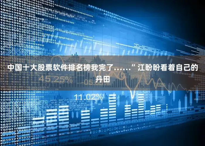 中国十大股票软件排名榜我完了……”江盼盼看着自己的丹田