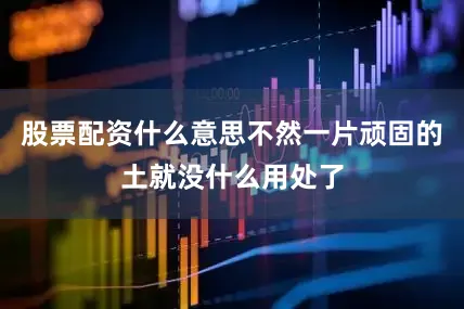 股票配资什么意思不然一片顽固的土就没什么用处了