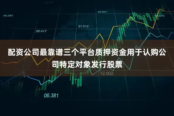配资公司最靠谱三个平台质押资金用于认购公司特定对象发行股票