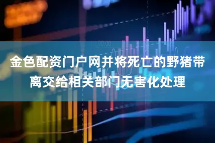 金色配资门户网并将死亡的野猪带离交给相关部门无害化处理